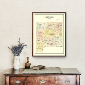 Vintage Map of Shelby County, Missouri 1902