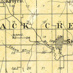 Vintage Map of Shelby County, Missouri 1902