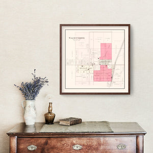 Vintage Map of Walnut Grove, Missouri 1904