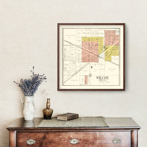 Vintage Map of Waushara County, Wisconsin 1906