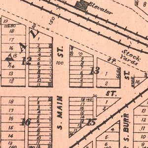 Vintage Map of Waushara County, Wisconsin 1906