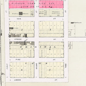 Vintage Map of Colon, Nebraska 1907