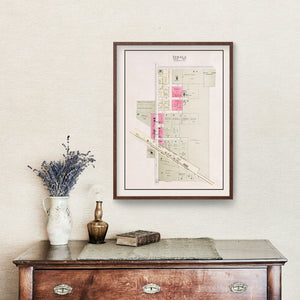 Vintage Map of Ithaca, Nebraska 1907