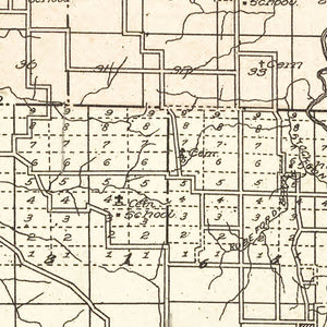 Vintage Map of Cedar County, Missouri 1908