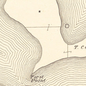 Vintage Lake Washington, MN Map 1921