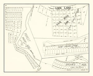 Vintage Map of Loon Lake, Indiana 1939