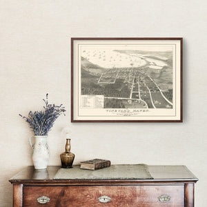 Vintage Vineyard Haven Map 1893