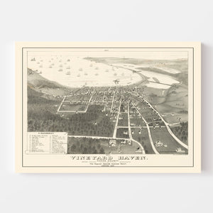 Vintage Vineyard Haven Map 1893