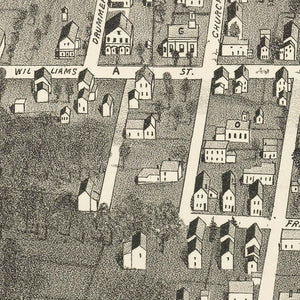 Vintage Vineyard Haven Map 1893