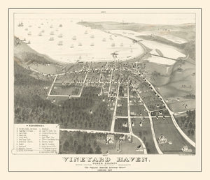 Vintage Vineyard Haven Map 1893