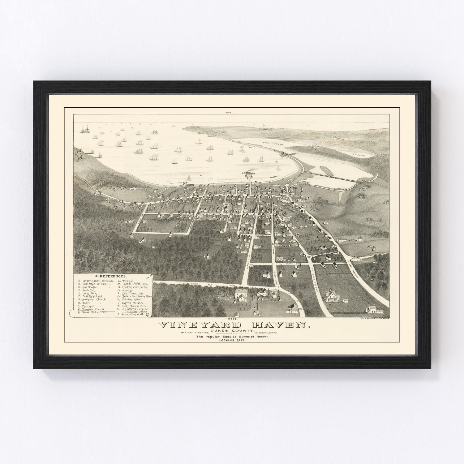 Vintage Vineyard Haven Map 1893