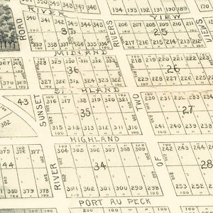 Vintage Port au Peck Map 1894