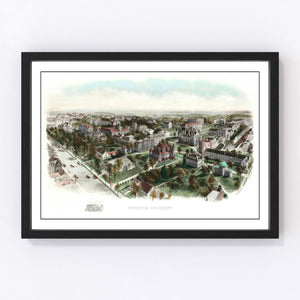 Vintage Princeton University Map 19006