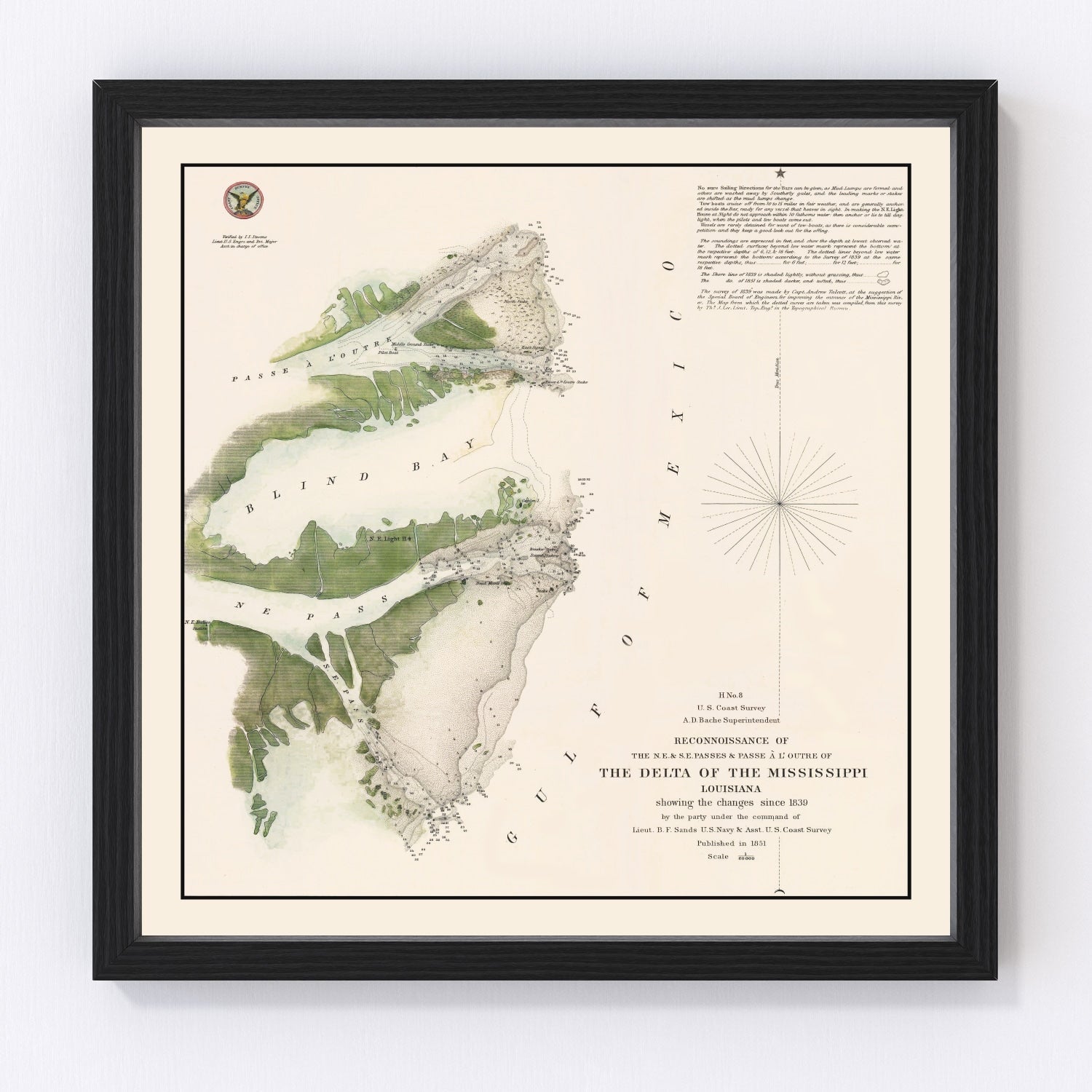 Vintage Mississippi River Delta Map 1851