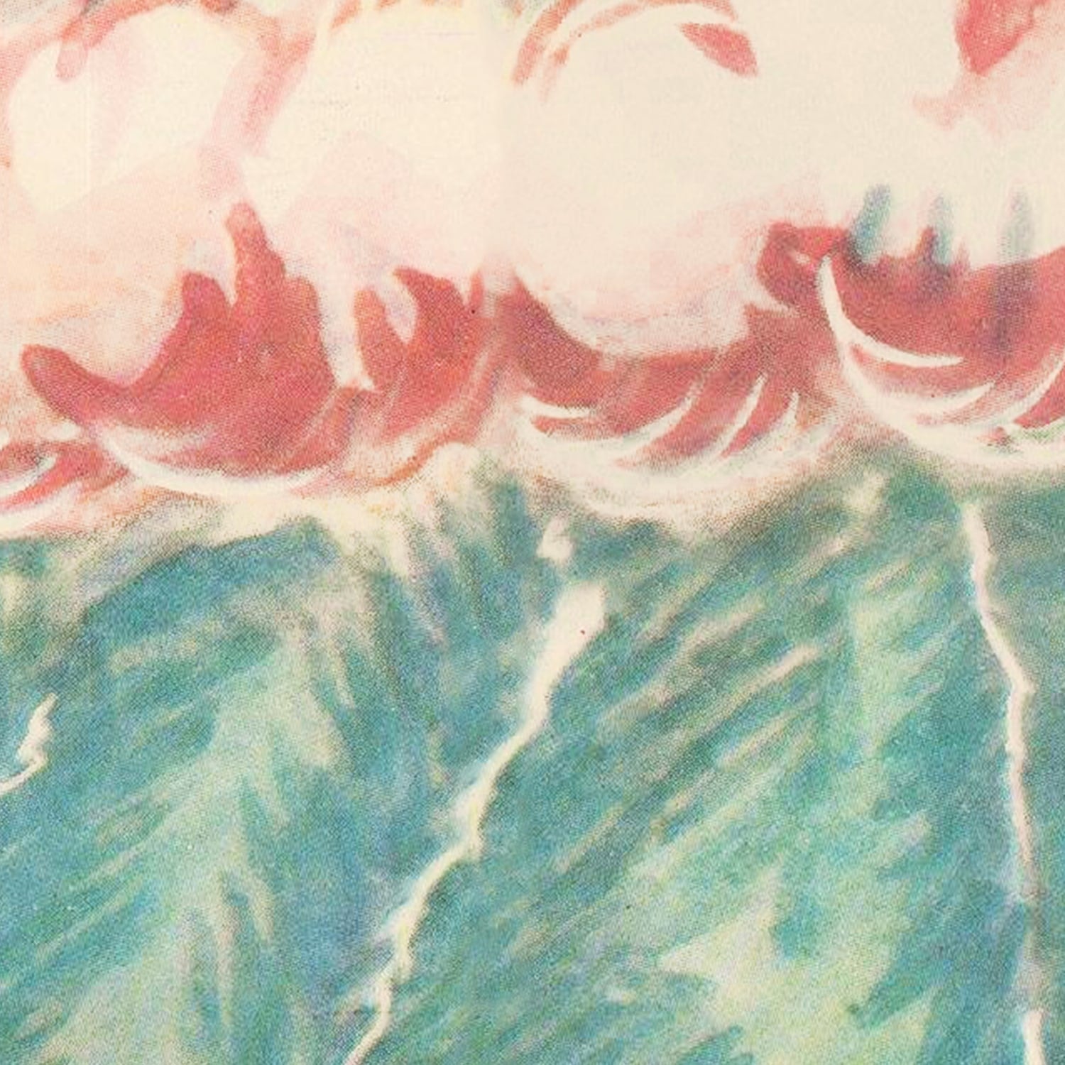 Vintage Mount Fuji Japan Map 1954