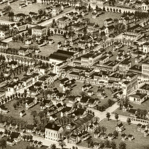 Vintage Map of Albany, Georgia 1885