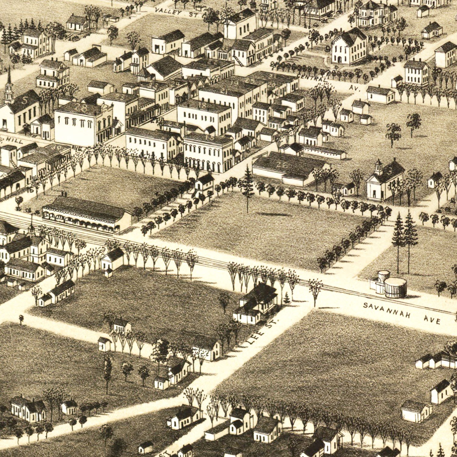 Vintage Map of Valdosta, Georgia 1885