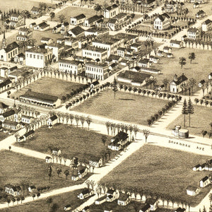 Vintage Map of Valdosta, Georgia 1885