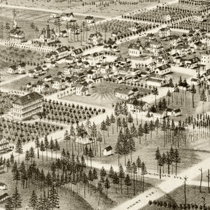 Vintage Map of De Land, Florida 1884