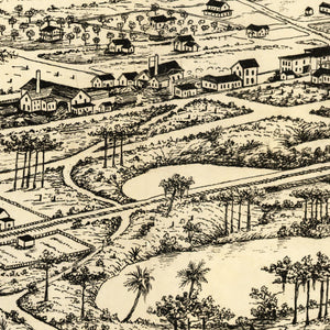 Vintage Map of Longwood, Florida 1885
