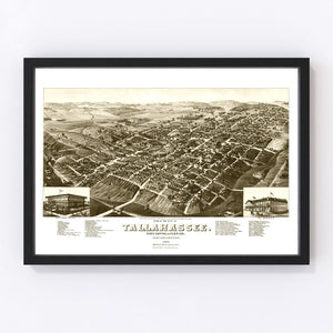 Vintage Map of Tallahassee, Florida 1885
