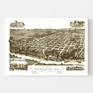 Vintage Map of Tuskaloosa, Alabama 1887
