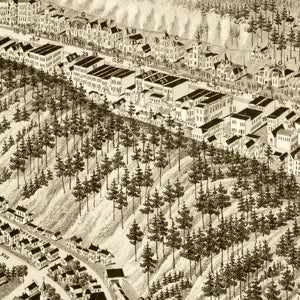Vintage Map of Hot Springs, Arkansas 1888