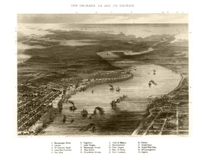 Vintage Map of New Orleans, Louisiana 1863
