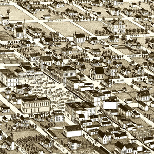 Vintage Map of Hone Grove, Texas 1885