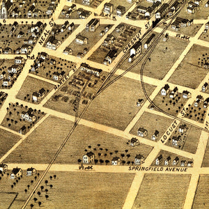 Vintage Map of Champaign, Illinois 1869