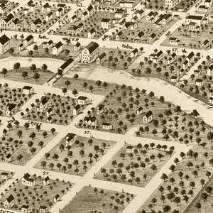Vintage Map of Pontiac, Illinois 1869