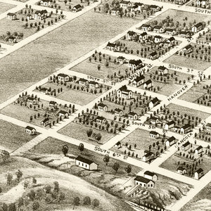 Vintage Map of Shelbyville, Illinois 1869