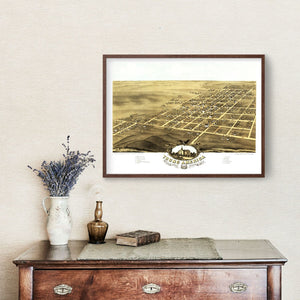 Vintage Map of Young America, Illinois 1869