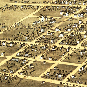 Vintage Map of Young America, Illinois 1869