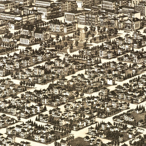 Vintage Map of Kalamazoo, Michigan 1883