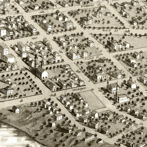 Vintage Map of Niles, Michigan 1868