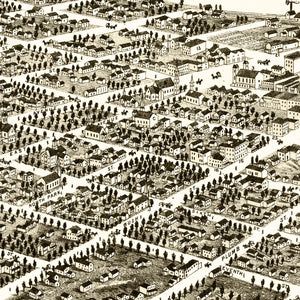 Vintage Map of Red Wing, Minnesota 1880