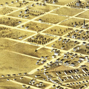 Vintage Map of Pleasant Hill, Missouri 1869