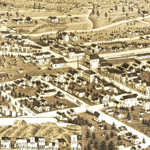 Vintage Map of Buena Vista, Colorado 1882