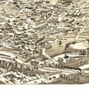 Vintage Map of Trinidad, Colorado 1882