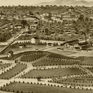 Vintage Map of Los Angeles, California 1877