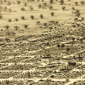 Vintage Map of Santa Rosa, California 1876