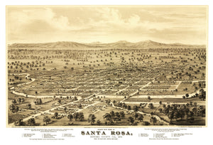 Vintage Map of Santa Rosa, California 1876