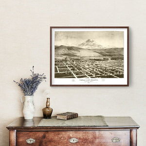 Vintage Map of Yreka & Mt. Shasta, California 1884