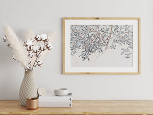 Apple Tree Branches