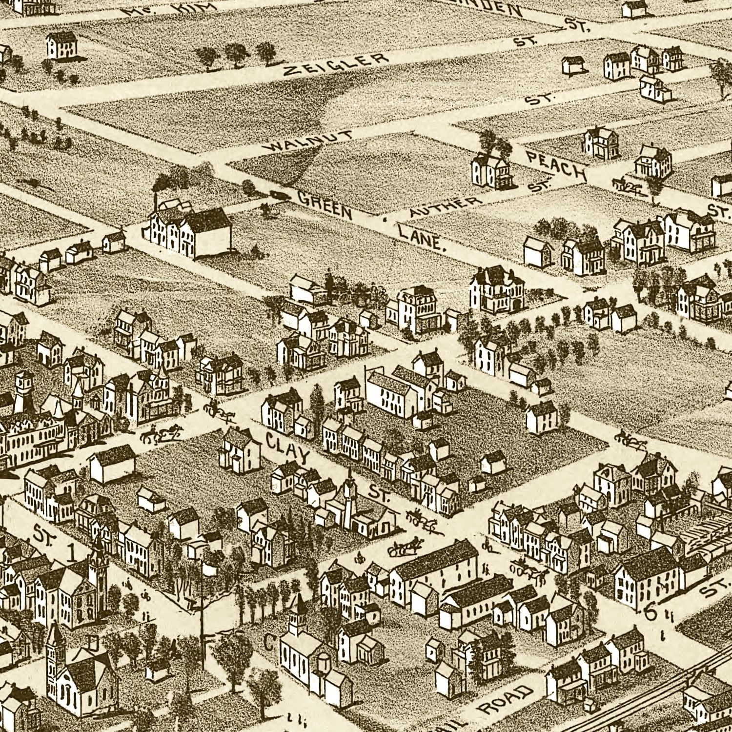 Vintage Map of Zelienople, Pennsylvania 1901