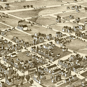 Vintage Map of Zelienople, Pennsylvania 1901