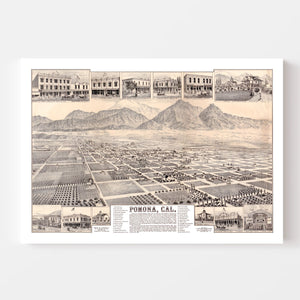 Vintage Map of Pomona, California 1886