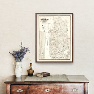 Vintage Map of Queens County, New York 1874