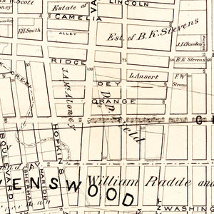Vintage Map of Queens County, New York 1874